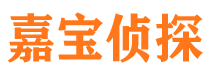 青羊市侦探公司